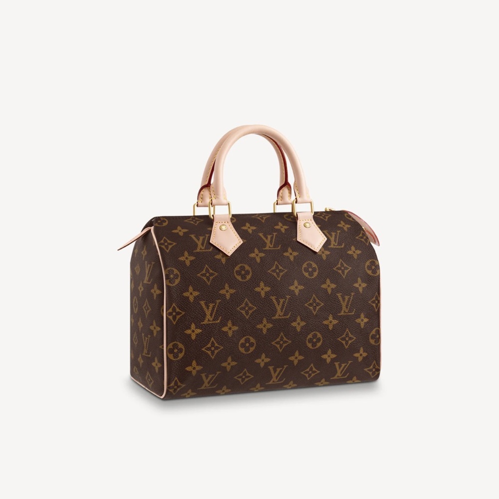 Louis Vuitton Speedy 25